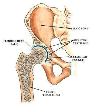 custom fit knee surgery kolkata