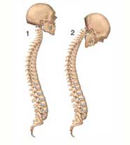 custom fit knee surgery kolkata